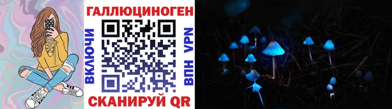 где можно купить наркотик  Анадырь  Псилоцибиновые грибы Cubensis 